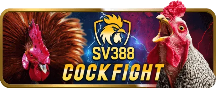 Người dùng đang chơi casino trên ứng dụng Luck8885